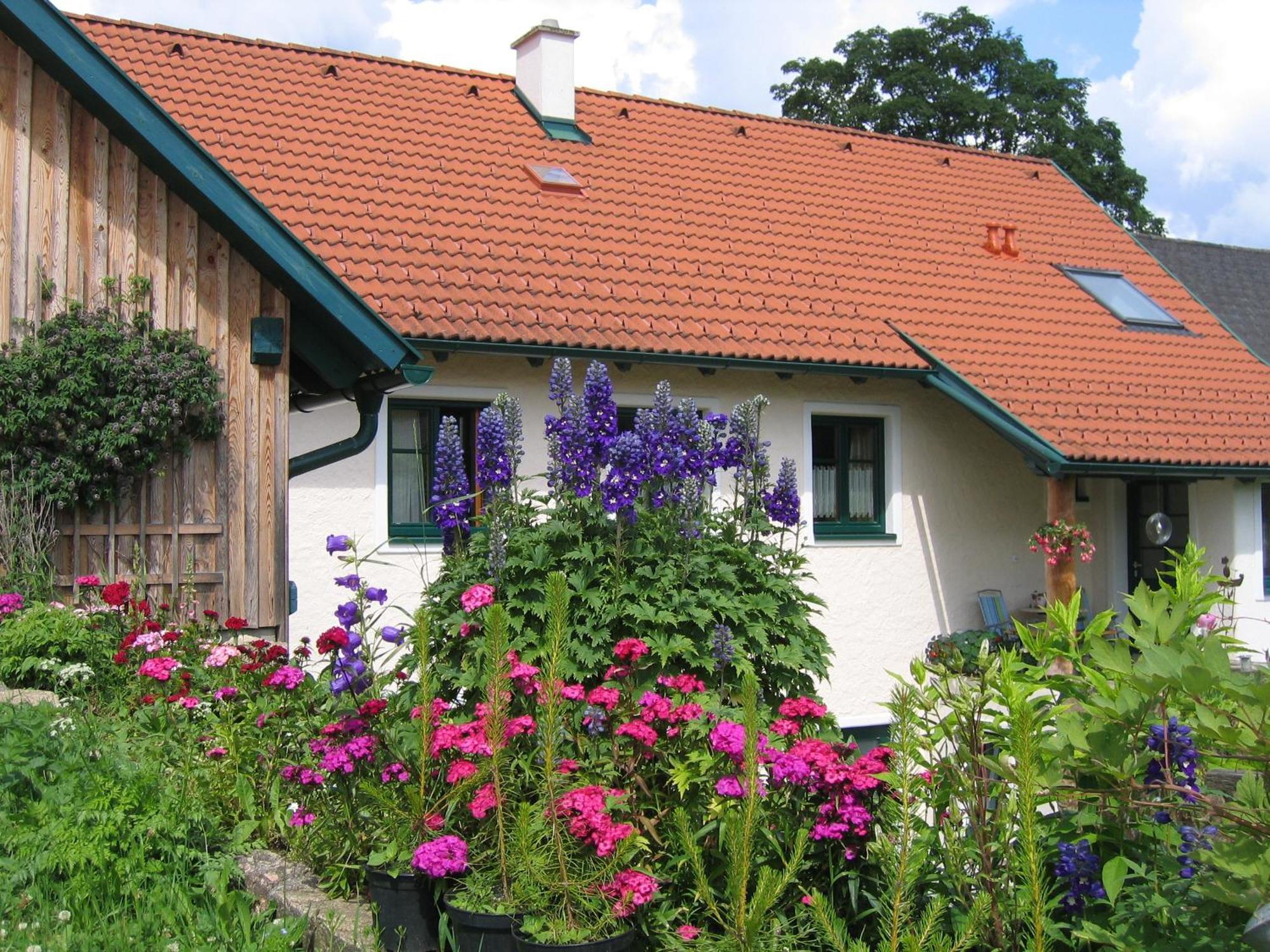 Rappottenstein Ferienhof Stanzl מראה חיצוני תמונה
